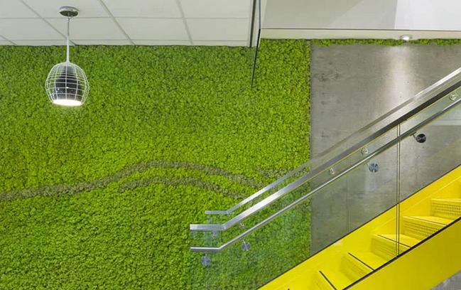 上海91看片成人免费