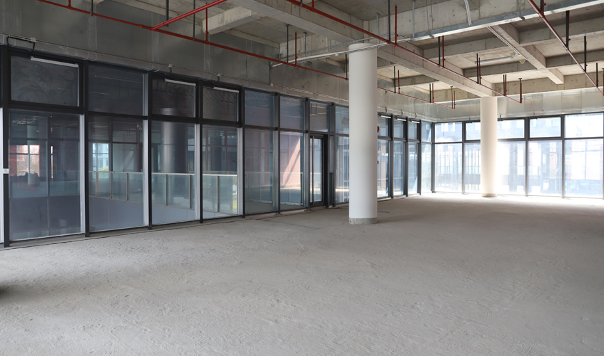 上海91看片成人免费