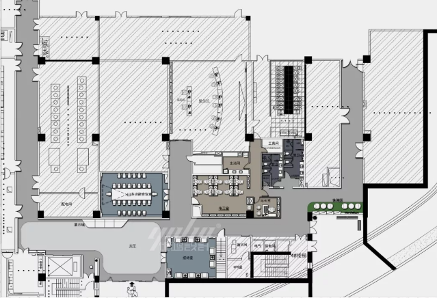 申能集团91看片成人免费